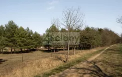 10059/3098/OGS - zdjęcie nr 3