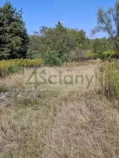 10275/3098/OGS - zdjęcie nr 2