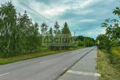 9309/3098/OGS - zdjęcie nr 3