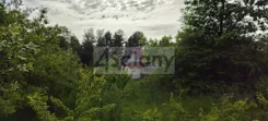 10031/3098/OGS - zdjęcie nr 1