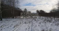 10412/3098/OGS - zdjęcie nr 2