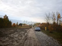 10608/3098/OGS - zdjęcie nr 3