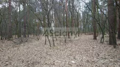 6901/3098/OGS - zdjęcie nr 3