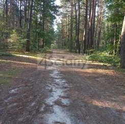10300/3098/OGS - zdjęcie nr 0