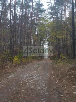 10300/3098/OGS - zdjęcie nr 4