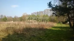 9513/3098/OGS - zdjęcie nr 4