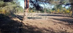 10301/3098/OGS - zdjęcie nr 0