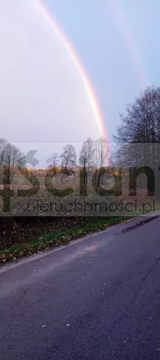 10301/3098/OGS - zdjęcie nr 4
