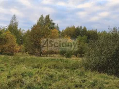 10627/3098/OGS - zdjęcie nr 0