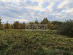 10627/3098/OGS - zdjęcie nr 1