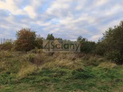 10627/3098/OGS - zdjęcie nr 5