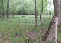 10568/3098/OGS - zdjęcie nr 0