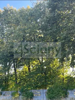 10118/3098/OGS - zdjęcie nr 5