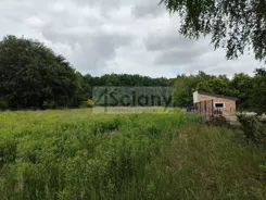 10555/3098/OGS - zdjęcie nr 1