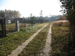 3478/3098/OGS - zdjęcie nr 2