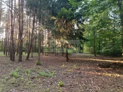 10068/3098/OGS - zdjęcie nr 0