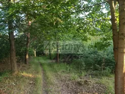 10068/3098/OGS - zdjęcie nr 2