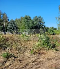10369/3098/OGS - zdjęcie nr 3
