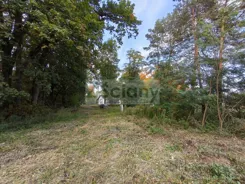 10562/3098/OGS - zdjęcie nr 3