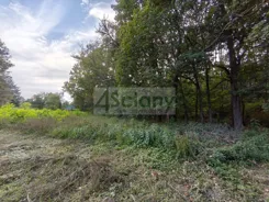 10562/3098/OGS - zdjęcie nr 4