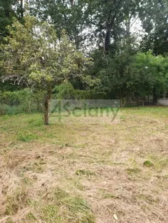 8397/3098/OGS - zdjęcie nr 0