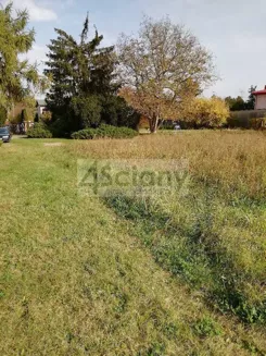 8397/3098/OGS - zdjęcie nr 2