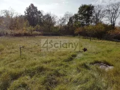 8397/3098/OGS - zdjęcie nr 5