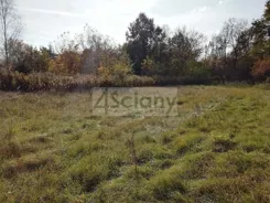 8398/3098/OGS - zdjęcie nr 3