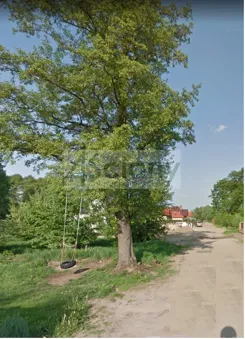 9285/3098/OGS - zdjęcie nr 1