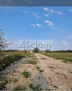 9566/3098/OGS - zdjęcie nr 2
