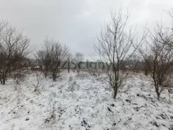 8976/3098/OGS - zdjęcie nr 3
