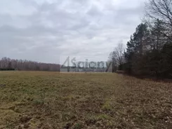 9436/3098/OGS - zdjęcie nr 0