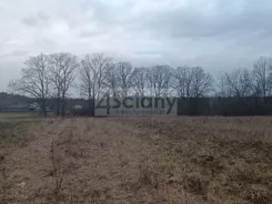 9436/3098/OGS - zdjęcie nr 4