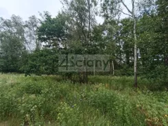 10259/3098/OGS - zdjęcie nr 2