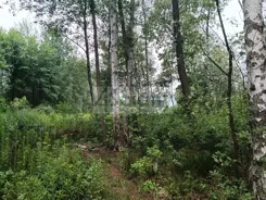 10259/3098/OGS - zdjęcie nr 5