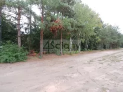 8472/3098/OGS - zdjęcie nr 1