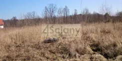 7255/3098/OGS - zdjęcie nr 3