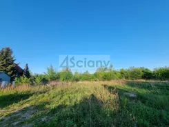 9243/3098/OGS - zdjęcie nr 2