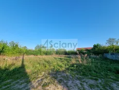 9243/3098/OGS - zdjęcie nr 3