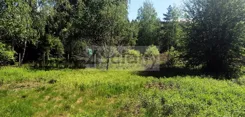 10454/3098/OGS - zdjęcie nr 2