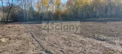 9839/3098/OGS - zdjęcie nr 2