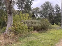 10494/3098/OGS - zdjęcie nr 4
