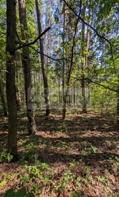 10427/3098/OGS - zdjęcie nr 1