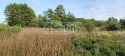 10498/3098/OGS - zdjęcie nr 1