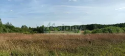 10498/3098/OGS - zdjęcie nr 3