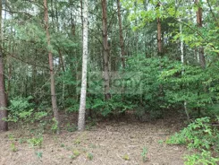 10580/3098/OGS - zdjęcie nr 1