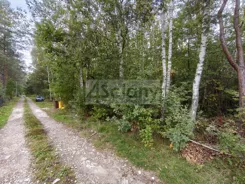 10660/3098/OGS - zdjęcie nr 1