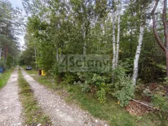 10660/3098/OGS - zdjęcie nr 2