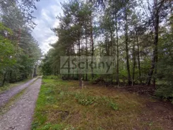 10660/3098/OGS - zdjęcie nr 3