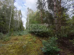 10660/3098/OGS - zdjęcie nr 4